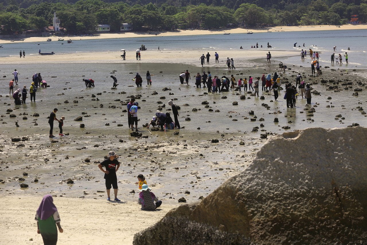 游客可在沿途中欣赏和寻找退潮后搁浅的海洋生物。