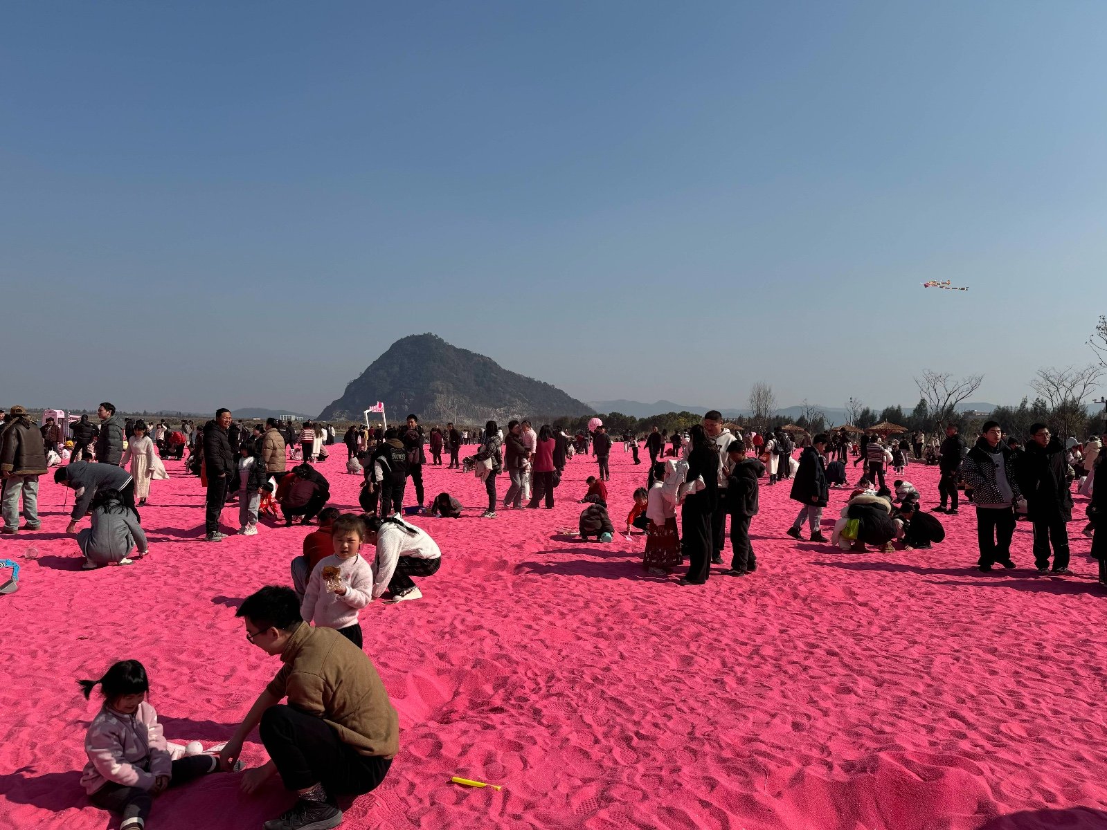 在浙江省台州市某“网红”景点，海滩中围起来的“粉色沙滩”满是游客。（图取自澎湃新闻）