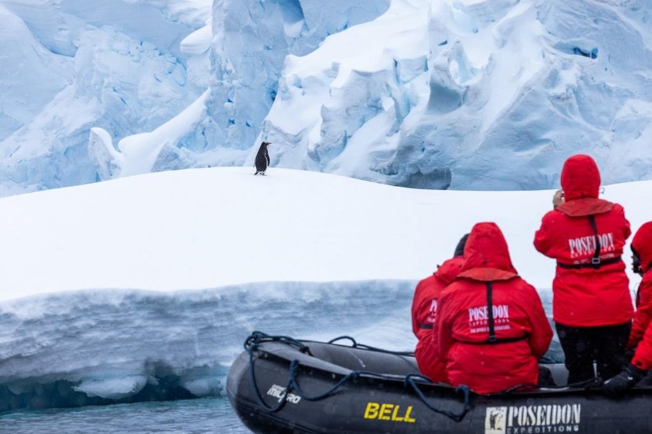 对于热爱摄影的发烧友来说，南极是一个绝佳的拍摄目的地。