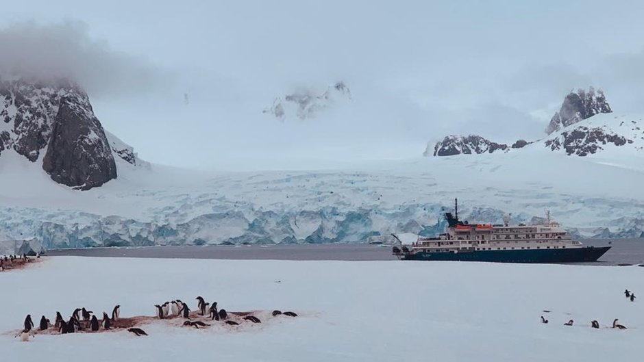 一群企鹅在天堂湾的壮丽冰川背景下欢快游戏，生动展现了南极生态的多样性和魅力。