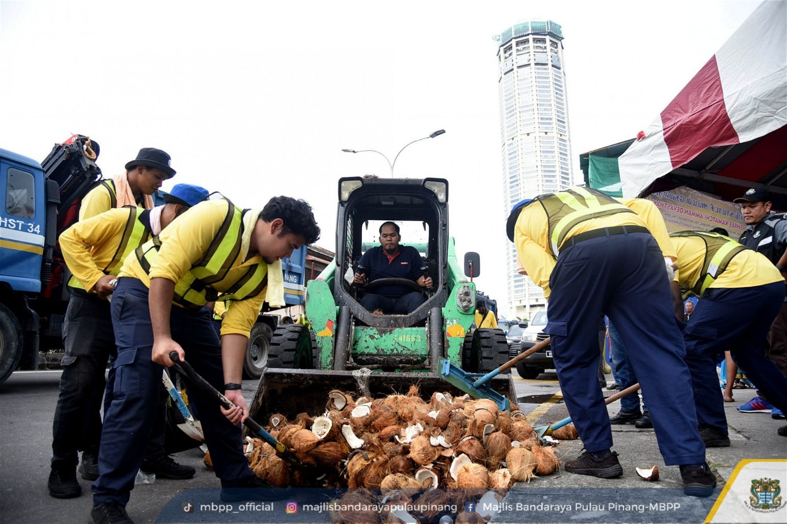 槟岛市政厅出动铲泥机，将工友们清理的椰子铲起来。