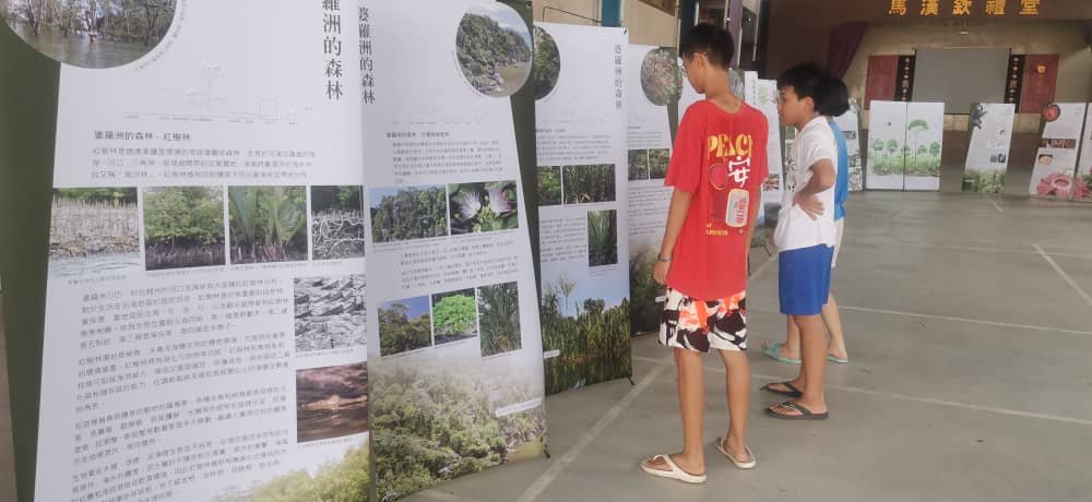 十八丁居民观看展览资料，认识热带雨林。