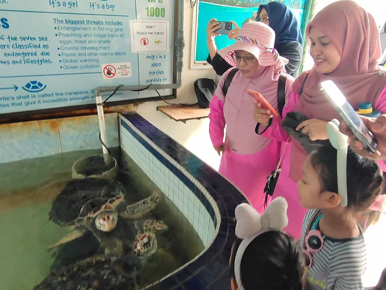 “海龟孵化场”获得不少民众携带孩子前往参观及了解孕育过程。