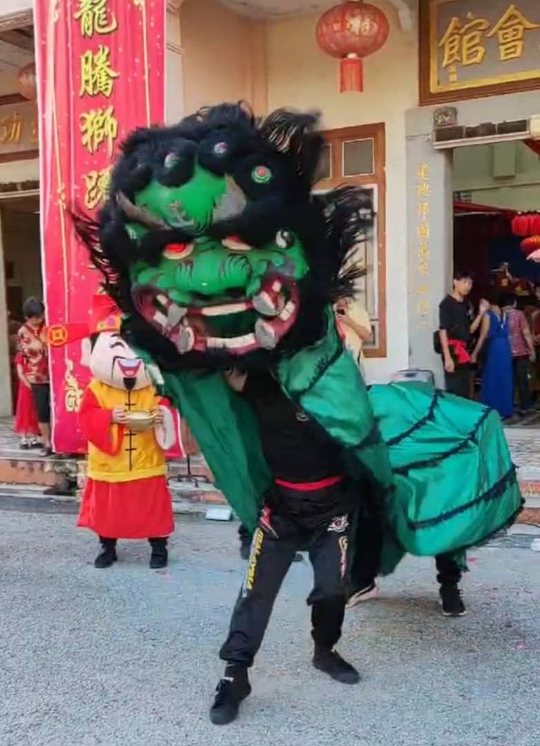 太平峇登福全宫中华五祖拳龙狮团经过8年“磨剑”，学习罕见青狮技艺，并于今年农历新年正式出狮表演。