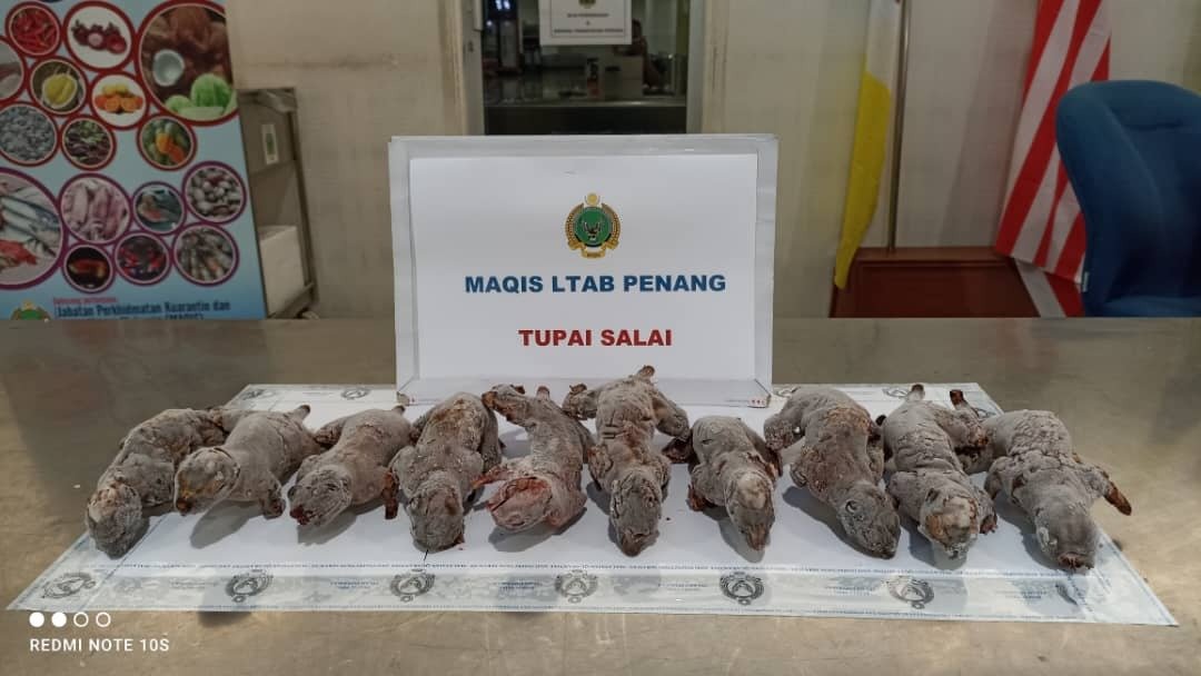 槟州检疫及检验局与大马关税局合作，在槟城国际机场截获8公斤“松鼠干”。