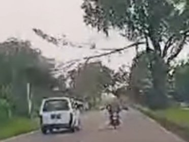 社交媒体流传一段视频，显示一辆轿车与摩哆在甘文丁区行驶时，突然间大树枝干倒下。