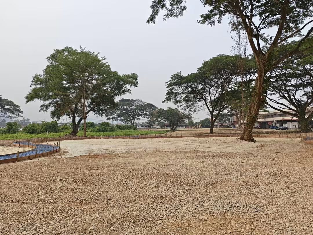 荣丰园昌明公园地段内原有的大树将获保留，为公园提供遮荫并保留自然景观。