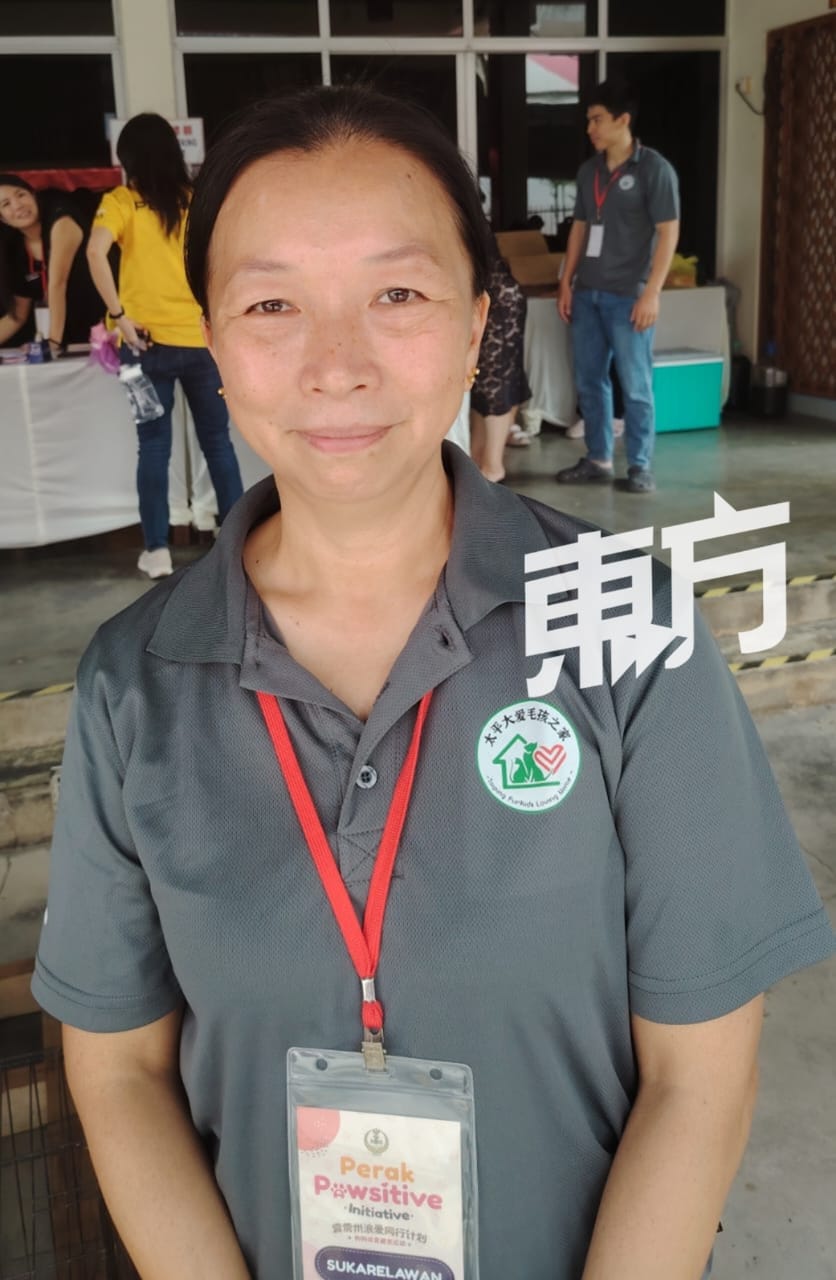 太平大爱毛孩之家负责人叶玉芳