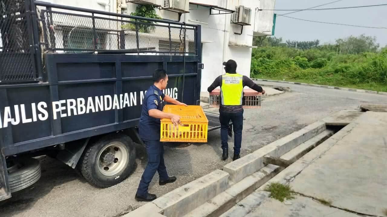执法人员将行动中扣押的物品带返曼绒市议会执法组仓库，以作进一步处理。（图：曼绒市议会面子书）
