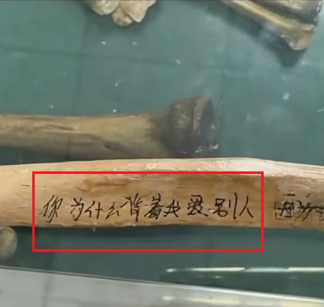 图取自网络