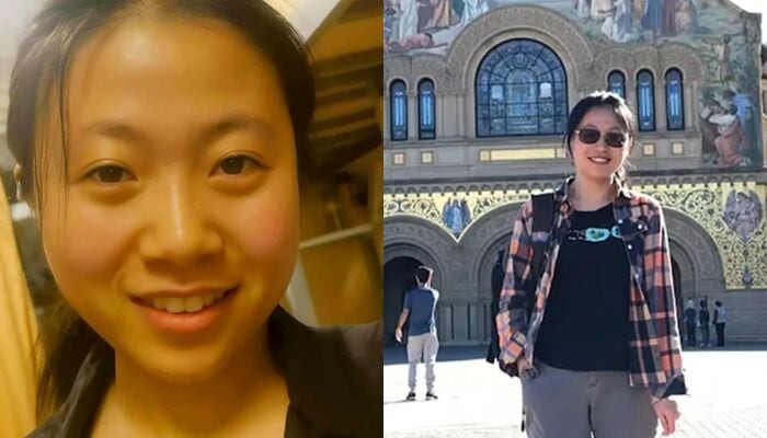 图取自网络。