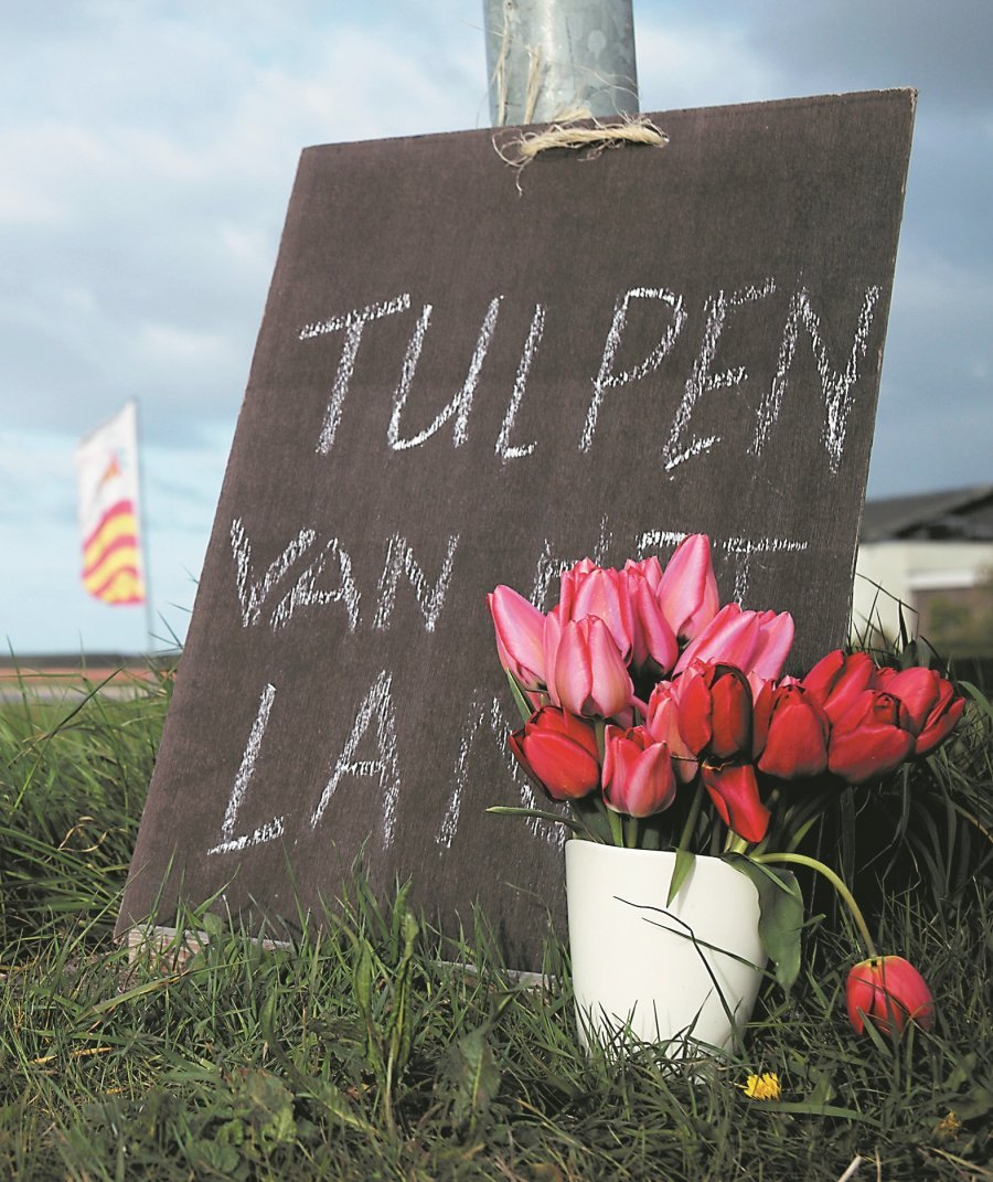 当地人在路旁置放新鲜采收的郁金香花朵，并用粉笔字写上“来自这个国家的郁金香”，欢迎世界各地慕名而来赏花的游客。