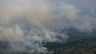 10月15日，巴西北部亚马孙州奥塔泽斯市的亚马逊雨林发生火灾，空拍照片显示了受灾区域。（图取自法新社）