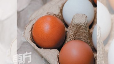 蛋壳颜色取决于鸡只品种，食品科学与营养师余志贤认为，不管蛋壳是褐色或白色，两者的营养价值相差不大。