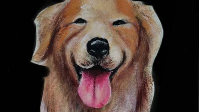 蚂蚁老师将5幅以“喂我吧！”为主题的狗狗画作捐出来拍卖。