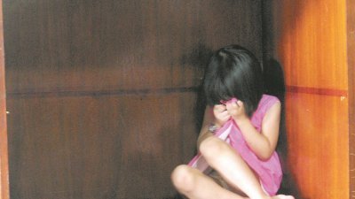 政府提呈《2017年性侵儿童法案》，针对与儿童色情物品、诱骗儿童及性侵儿童相关的罪行加重刑罚，以保护儿童。