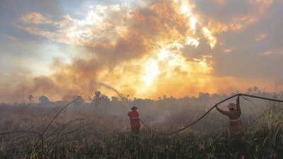 印尼林火热点有日愈严重之势，尤其是在加里曼丹岛，图为当地消拯人员在竭力扑灭林火。