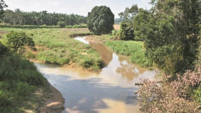 森布隆基丽河中的氨含量恢复正常水平以上，居銮县东部水供有望在周日晚上全面恢复。