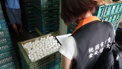台湾鸡蛋检出芬普尼风波延烧。图为桃园市人员稽查鸡场生产的鸡蛋。
