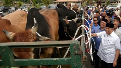 配合即将到来的哈芝节，阿末扎希（右）捐赠牛只予选民作为欢庆哈芝节的用途。
