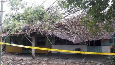 逾60呎高的大树不堪狂风吹袭而倒下，压毁拉布街的两间木屋。