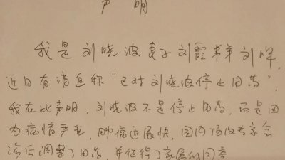 图为中国医科大学附属第一医院刊登说明是刘霞弟弟刘晖手书声明信件。