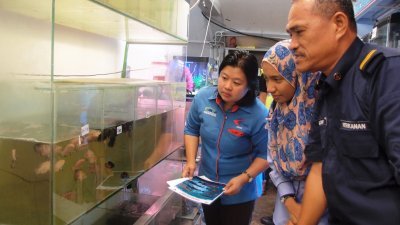 黄秀玲（左）与执法人员检查水族馆内的鱼类是否有被列在名单内。