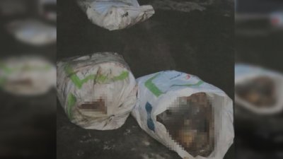 警方上门时，发现3包装有碎尸块的塑料袋。