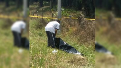 一名疑为越南籍女子被人发现卧尸在爱大华通往五条路的草丛旁。