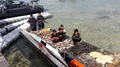 海事执法机构与水警联合行动，起获海龟壳和海龟肉。