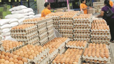 由于产量过剩，3月份的隆雪区每盒鸡蛋（10颗）零售价格降了90仙，如今每颗鸡蛋价格低于30仙。（摄影：张真甄）
