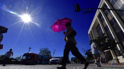 联合国世界气象组织表示，虽然今年没厄尔尼诺现象，但录得的高温是有纪录以来其中一年最高温。-法新社-