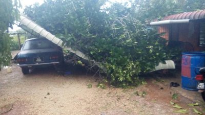 狂风大雨导致部分地区的树木被吹到，图中可见倒塌的树木把屋顶压下，不偏不倚倒在停放屋外的轿车。