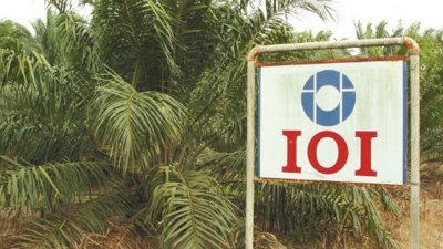 IOI集团种植业务首季净利则按年缩减12%，至3亿零560万令吉。