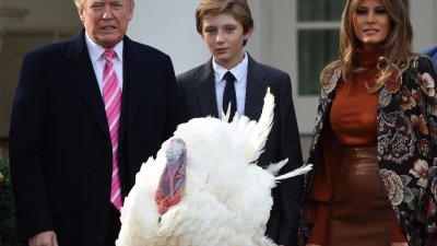  特朗普在夫人马拉尼亚与小儿子巴伦的陪同下，周二在白宫举行特赦火鸡的传统仪式。-法新社-