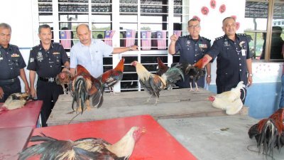 德米兹（右2）展示警方起获的斗鸡，并指此为今年霹雳第一宗遭侦破的非法斗鸡赌博活动。右为法依扎。