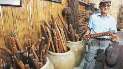 蔡日昇手中捧著的，还有大陶瓷缸内插著的一支支木枝，就是他从原住民处搜罗而得的帝王木，以作为生产产品的主要原料。