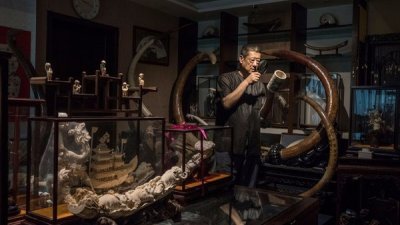 中国猛犸象牙艺术研究会会长陈树，在自己位于北京的公寓内，收藏了大量的猛犸象牙雕刻品。