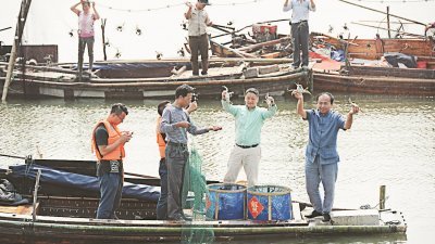 江苏省阳澄湖每年9月秋季开捕，今年落在9月23日。这是去年开捕活动上，渔民们举起螃蟹展示。