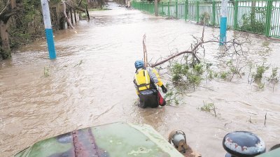 飓风“玛丽亚”挟带时速240多公里的强风重创波多黎各，这个有300万人口的美国海外属地全岛断电，部分地区遭遇洪水。在东北部城镇法哈多，搜救人员涉水移走挡在马路中央的树木断枝。