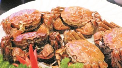 大闸蟹不需特别的烹调，以清蒸的方式最能品尝到蟹肉的鲜甜滋味。