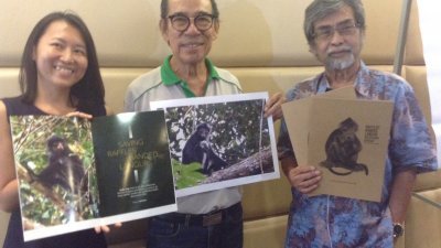  洪慧芳（左起）、周国球及玛斯欧将带领马新两国考察工作坊调查仅遍布在柔新地区的印尼叶猴。