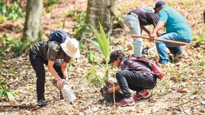 参与者在“与植物同名园”种植了66棵来自33种的植物幼苗，该幼苗都是与马六甲地区同名，如马六甲树及榴梿树等。