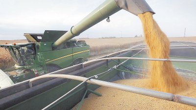 中国对大豆加征关税的报复行动，将严重影响美国农业，但美国农民受到的伤害将比农业公司大。