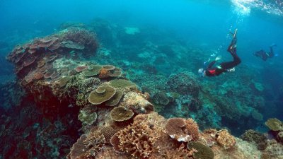 澳洲研究理事会珊瑚礁研究项目中心日前发布新闻公报指出，研究发现，组成大堡礁的3863个礁体中，29%的珊瑚礁上有超过2/3的珊瑚死亡。