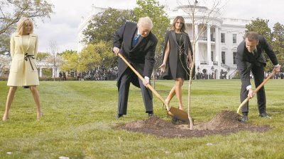 当地时间上周一，美国总统特朗普和法国总统马克龙在白宫前联手种下一棵树。
