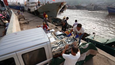 台风“摩羯”即将登陆浙江沿海，温州市苍南县渔港的归港渔民，抓紧时间卸载海产品。