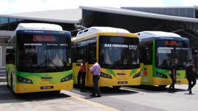 3辆黄绿色免费巴士印有中、巫及泰米尔文。