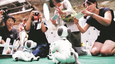 每只机器狗都会发展出自己的独特个性，上周日在东京举行的Aibo机器狗聚会上，狗狗主人忙不迭为狗狗的萌态拍照留念。
