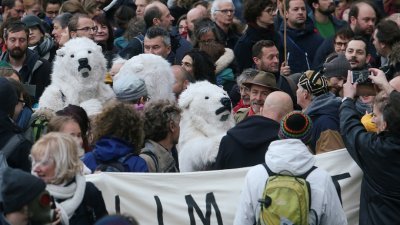 比利时首都布鲁塞尔的“为气候发声”游行中，有参与者装扮成北极熊 ，要求比利时政府采取行动，对抗气候暖化问题。